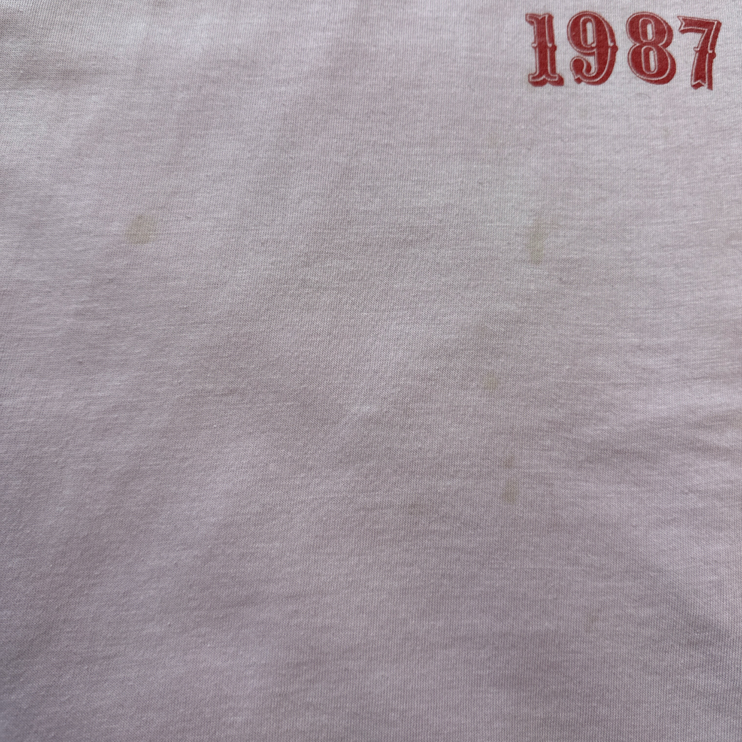 Vintage Light Violet 1987 Carnival T-Shirt